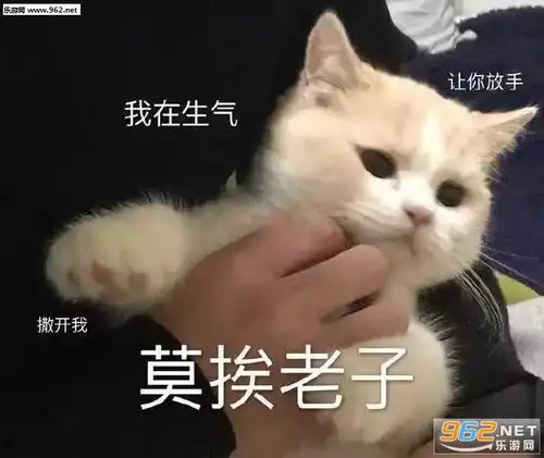 我在生气莫挨老子表情包图片老子想怎样就怎样表情包下载乐游网游戏下载
