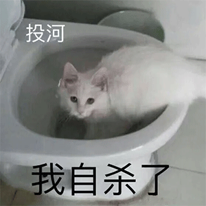 斗图必备的聊天表情包
