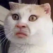 求问这个猫的表情包里面的人脸是谁的