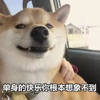 单身狗表情包来了,来收图,我乃社会主义接班人,岂能谈儿女情长