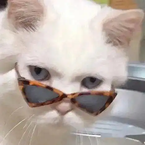 今日头像我想在大地上画满窗子
