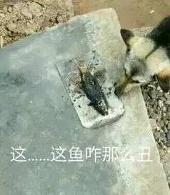 土狗宝宝做错事,主人拿刀吓唬它,可它这表情...可以说戏精本精了
