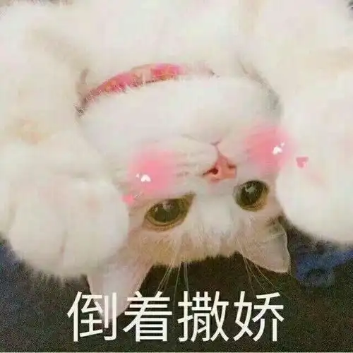 换季太凶残,这些让你相见恨晚的秋冬新品

