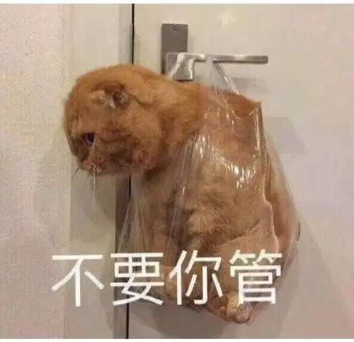 表情包沙雕表情包293期
