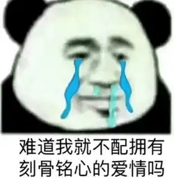 熊猫头搞笑专用表情怎么都没人喜欢我的
