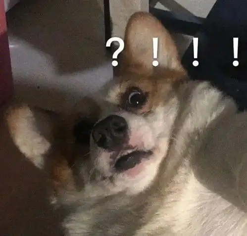 姐妹们有什么万能的表情包,大概就是不知道怎么回对方可以发的
