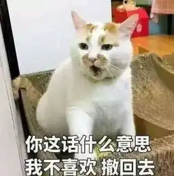 聊天必备脏话表情包你这话什么意思我不喜欢,撤回去
