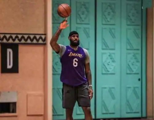 你认为湖人为什么能赢下2020年nba总冠军请你说出理由詹姆斯
