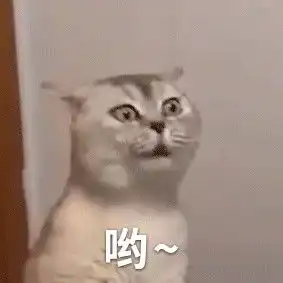 化妆品都包包表情包菀菀