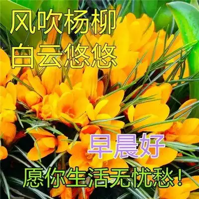 2023最新早晨好早上好漂亮问候祝福图片头像
