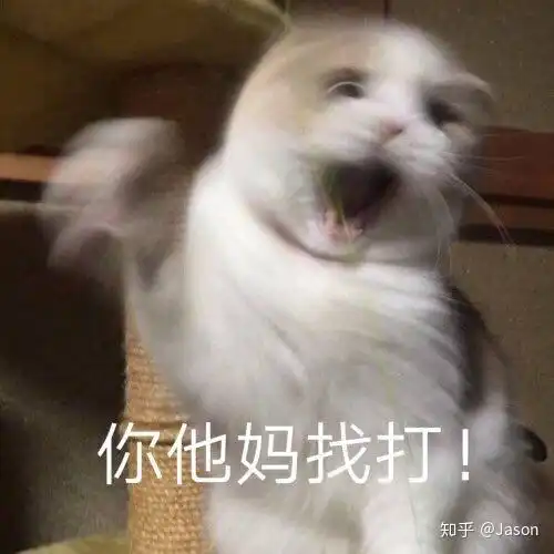 每天都带隐形眼镜的话适合戴日抛吗
