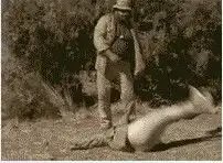 一搞笑表情,一个兵耍着花拳绣腿到了对手面前被对手一巴掌打翻在地,是啥影视剧里的吗好奇跪求
