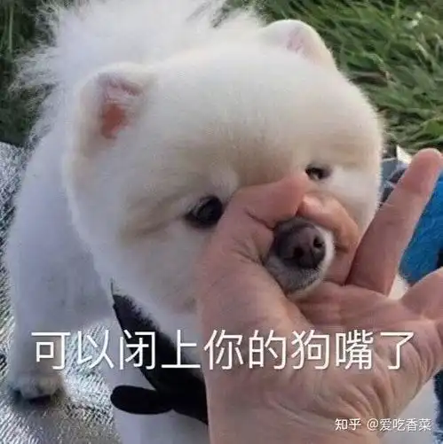 男生都爱喝的茶茶妹的茶言茶语
