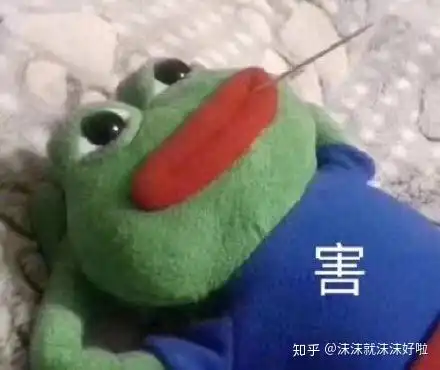 保研复旦类脑上交生医工经验分享
