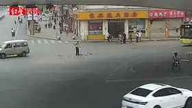 超可爱龙猫困得睁不开眼
