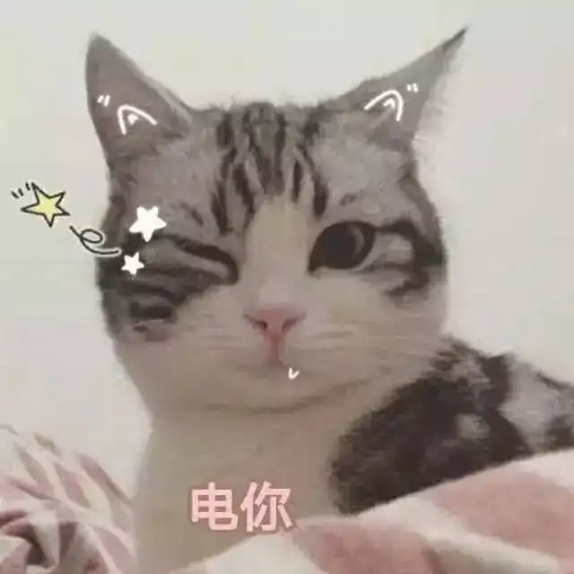 海量表情包仓库持续更新中
