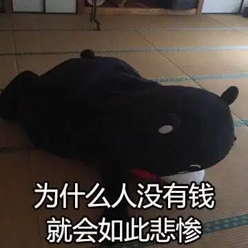 我只想要快乐doge表情包doge快乐想要表情
