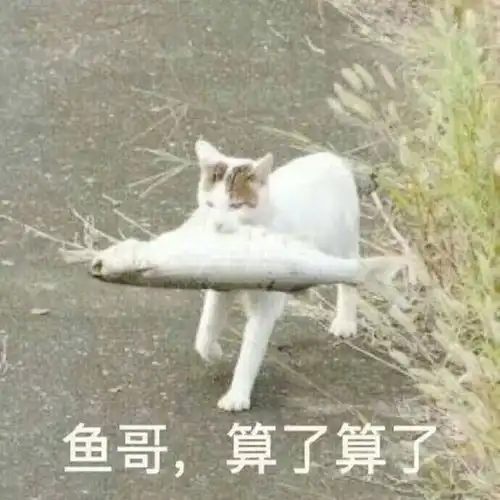 每日一笑前不久小偷趁没人偷偷进我家,把我家翻得乱七八糟
