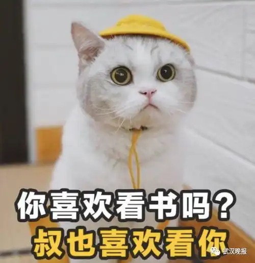 一大波天选之子候选人涌入天猫微博等待pick,网友表示,等四六级成绩都没这么紧张
