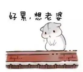 哄老婆专用仓鼠表情包合集老婆大人对不起
