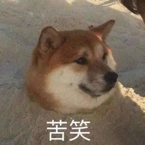 晴天就要来了最高13c
