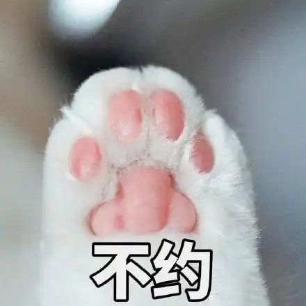 猫的表情包
