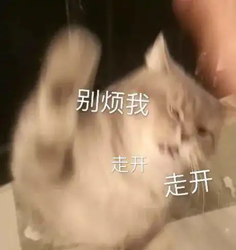 一秒拯救不开心这40张图看完心情好到想接吻
