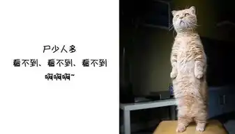 假期愉快来一组医学生表情包醒醒脑
