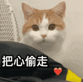 聊天斗图表情包大放送
