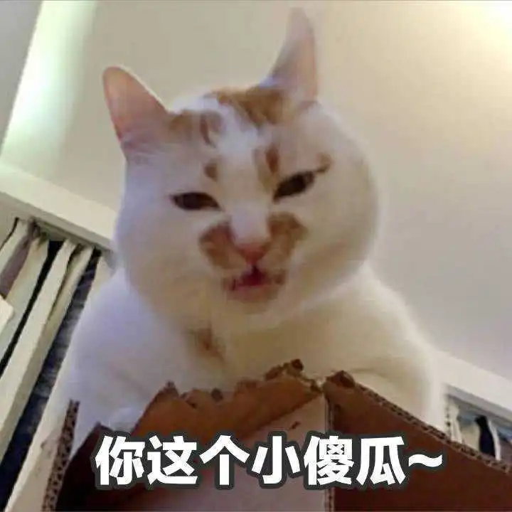无标题
