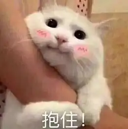 一把抱住表情包大全
