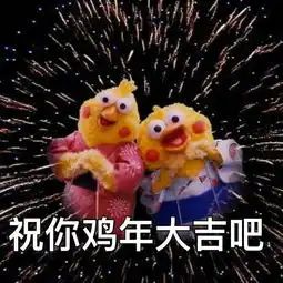 为什么祝你鸡年大吉鹦鹉兄弟
