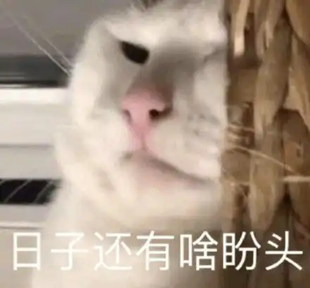 熊猫头交头接耳悄悄话动图表情包动图悄悄话表情
