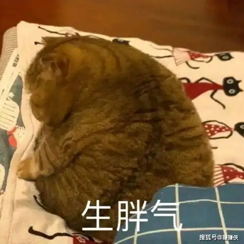 可爱表情包图片当场愣住
