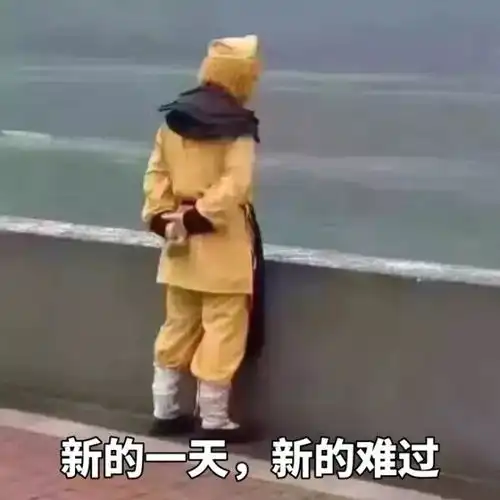 8090后社交日常朋友圈装腔,微博上骂爹
