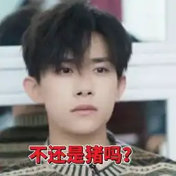 tfboys合体表情包之王俊凯遇到了一个难题系列
