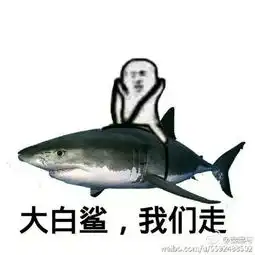 红极一时的鹦鹉兄弟已失宠表情包新宠皮皮虾横空出世

