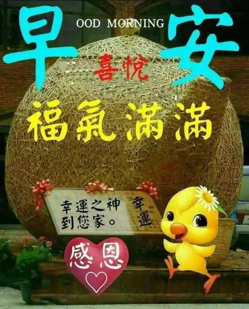 清晨发朋友圈必备的漂亮早上好祝福图片,祝你天天好心情
