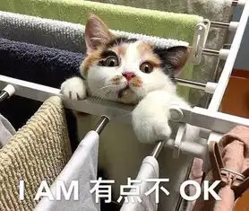 天气未来3天热
