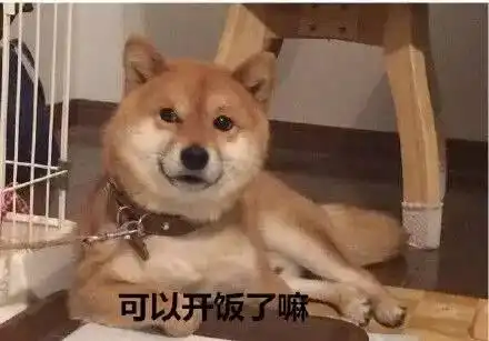 哈士奇大战柴犬,表情包之王你支持谁
