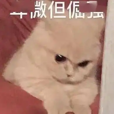 今日份快乐源泉请接收哈哈哈哈哈...
