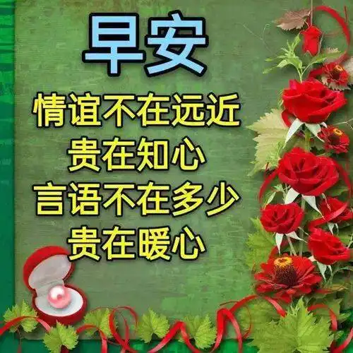 中老年表情包,群主群友大家早上好,问候是一种甜蜜的牵挂
