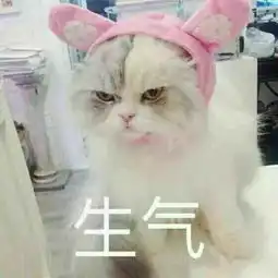 刚刚好视频直播全集刚刚好资料大全yy官方
