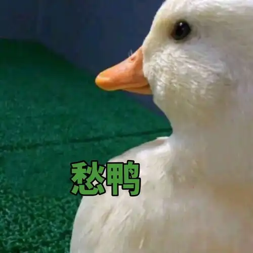 腿粗屁股大微胖女生这样穿,让你瘦10斤
