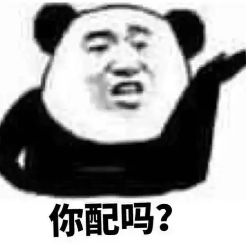 幽默搞笑表情包别说了,小肥猪
