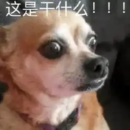 妹妹表情包沙雕狗狗