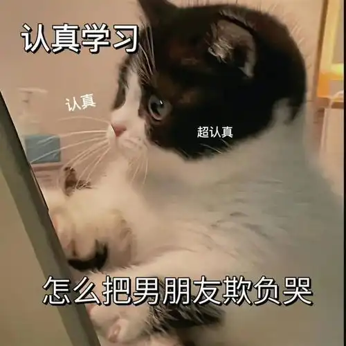 一组情侣聊天实用的表情包
