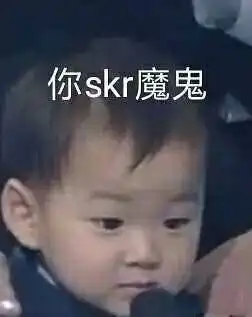 是skr不是scarskr人是什么梗
