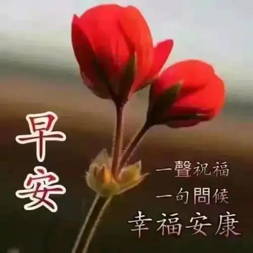早上好表情包,一帆风顺,愿你事事顺心,一切都美好是一种
