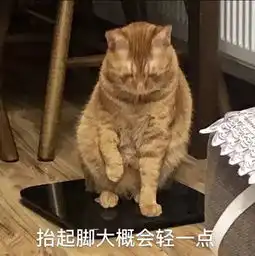 全新猫咪斗图表情包来啦